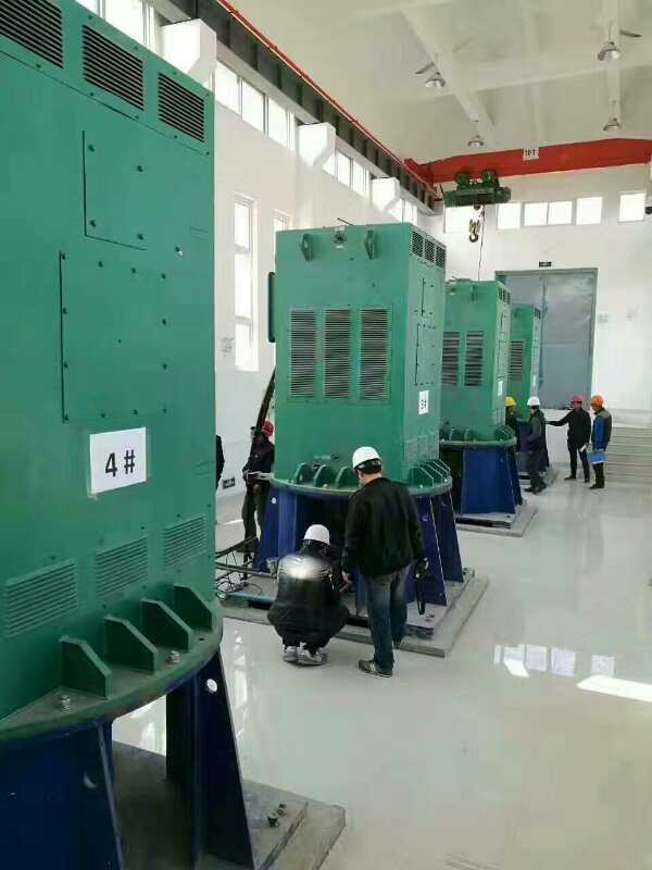 YR4004-8某污水处理厂使用我厂的立式高压电机安装现场